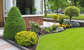 budget tuin