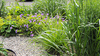 eenvoudige tuin aanleggen