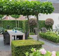 romantische strakke tuin