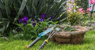 tuin leeghalen prijs
