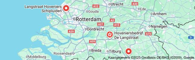 langstraat hoveniers