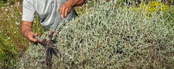 tuinaanleg zoetermeer