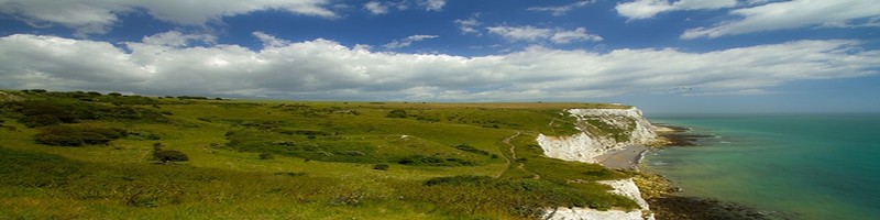 hoveniersbedrijf christiaan