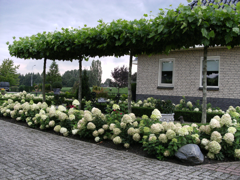 van de bunt hoveniers