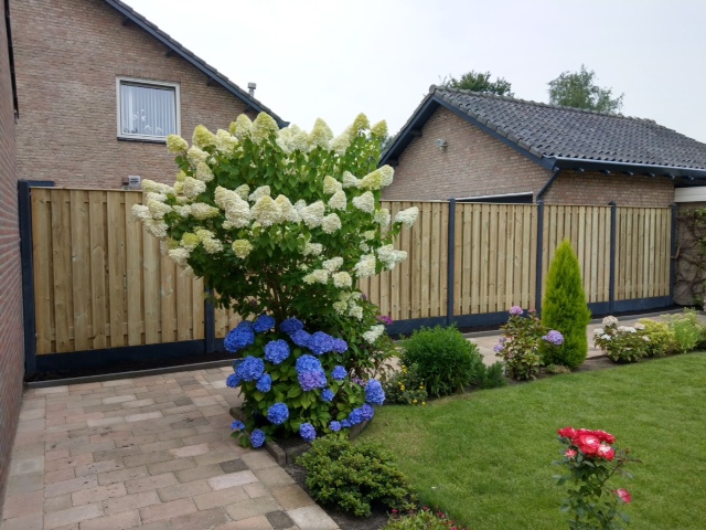 buitenzorg hoveniers