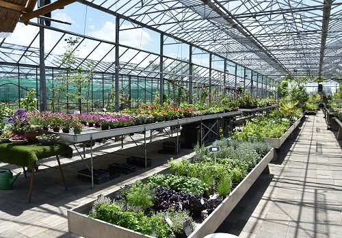 hovenier zeeuws vlaanderen