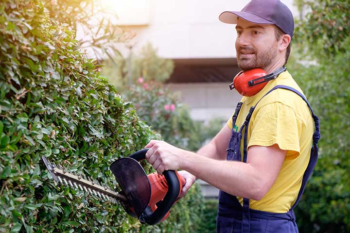 hovenier donkergroen