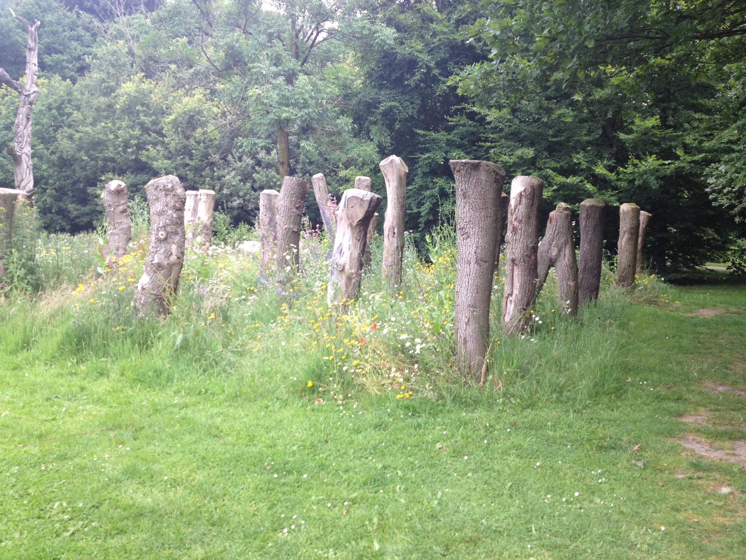 nico en willem hoveniers