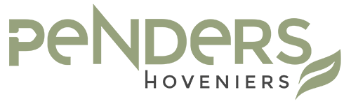 schel hoveniers