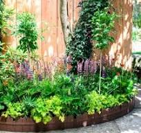 intratuin tuin ontwerpen