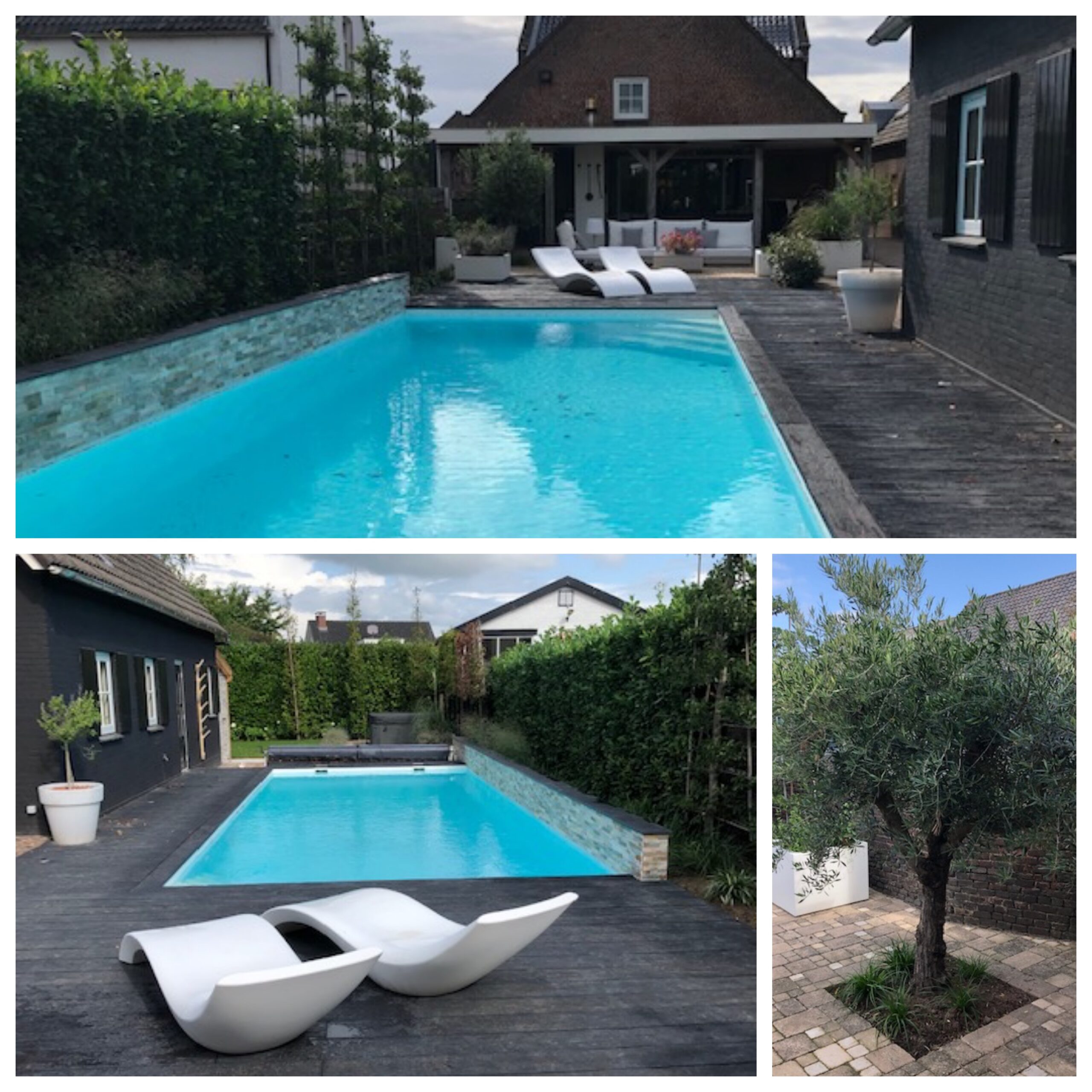 tuinontwerp kleine tuin met zwembad