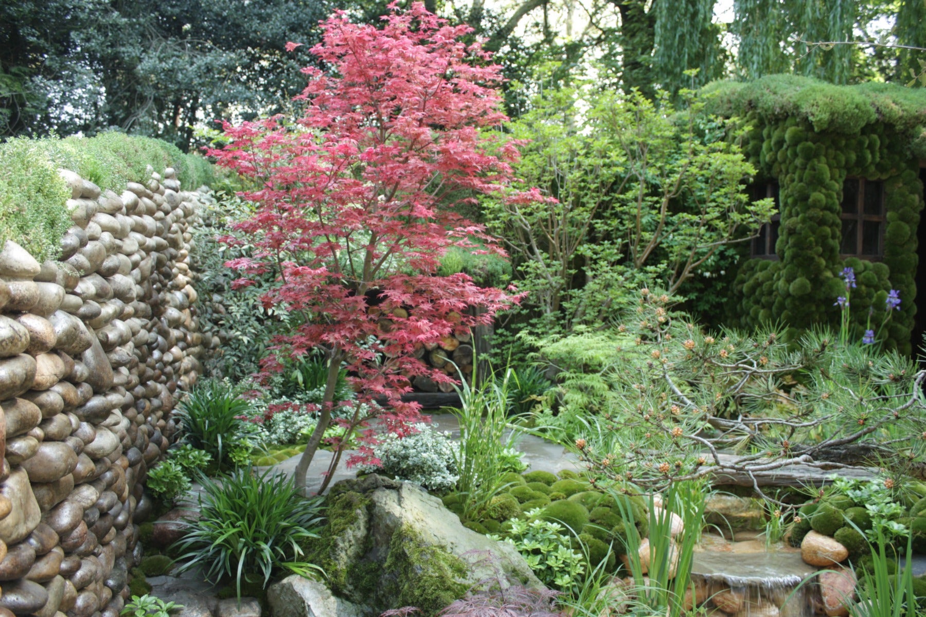 japanse tuin ontwerp