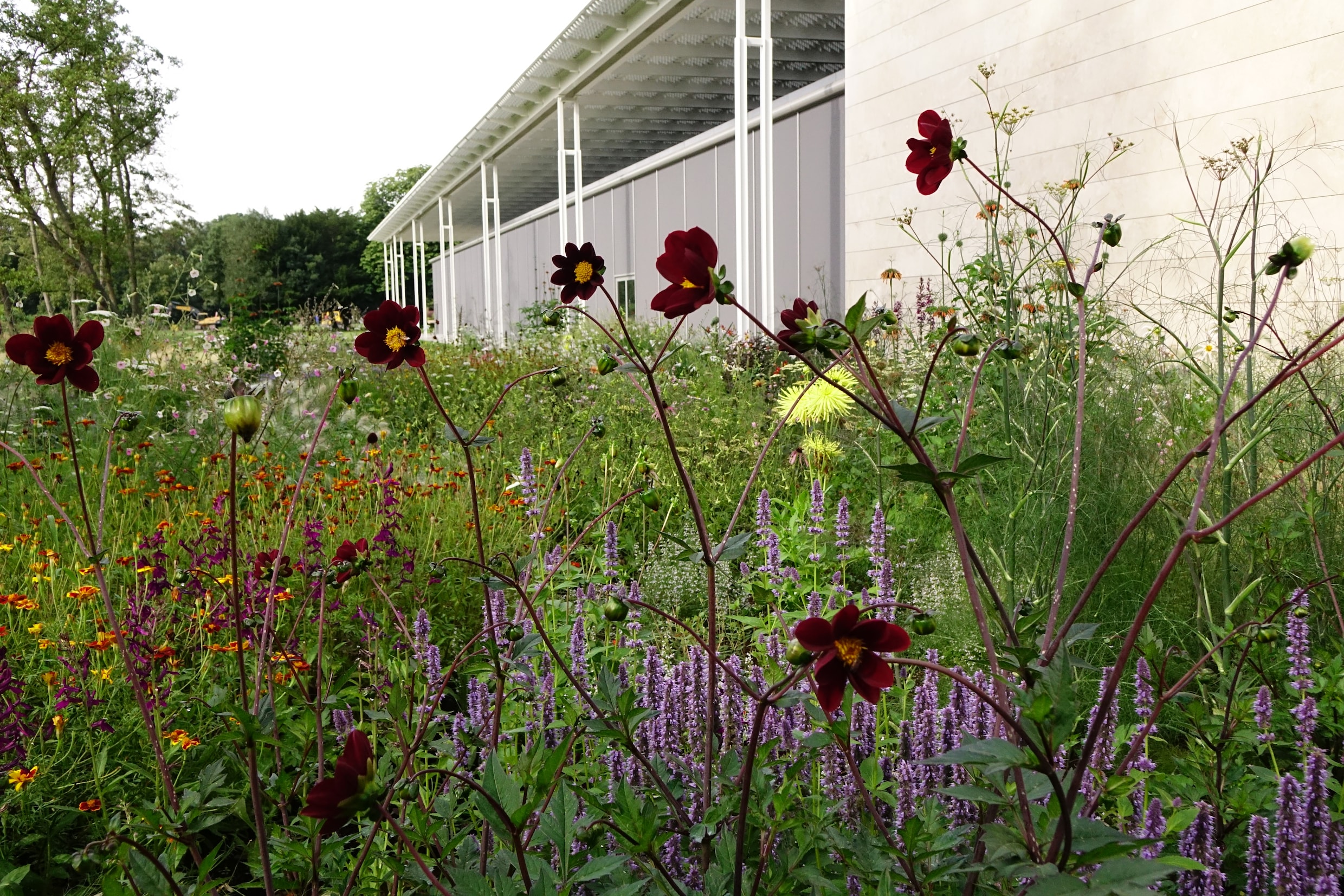 piet oudolf tuinarchitect