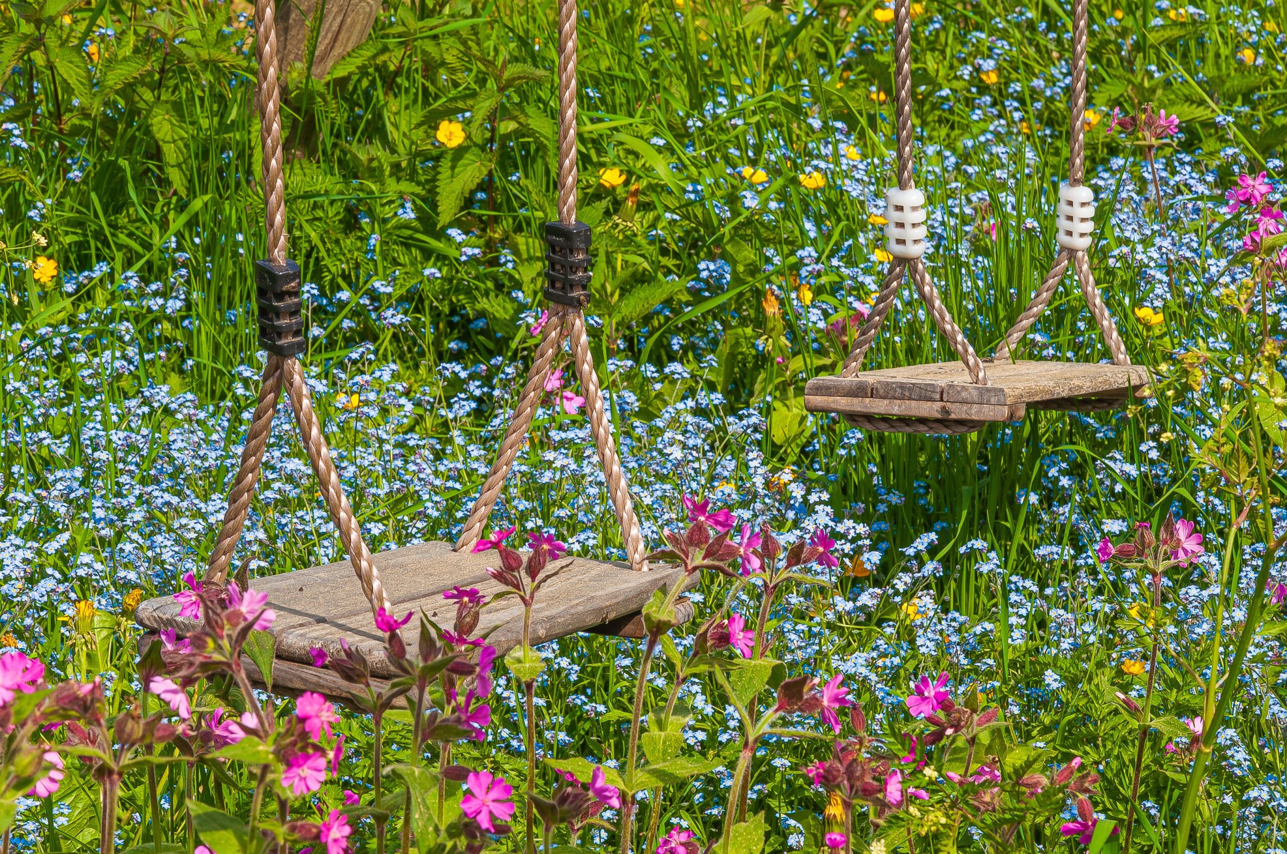 tuinontwerp wilde tuin