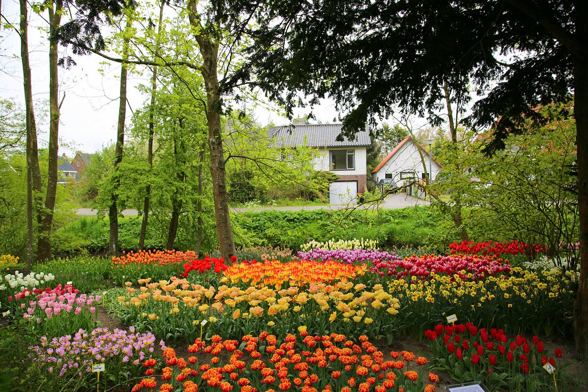 annaparte tuinontwerp